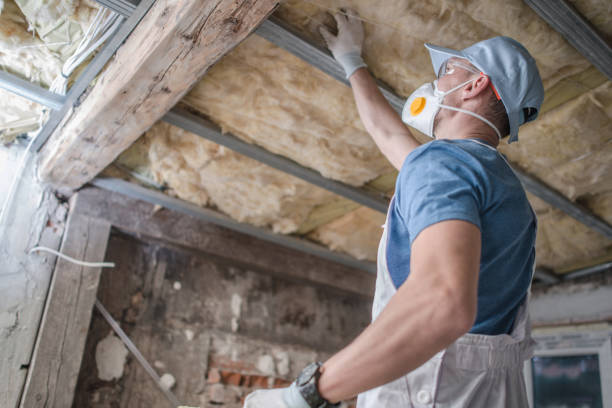 Best Commercial Insulation in Halls, TN